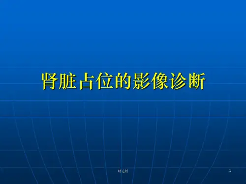 肾脏占位的影像诊断ppt课件