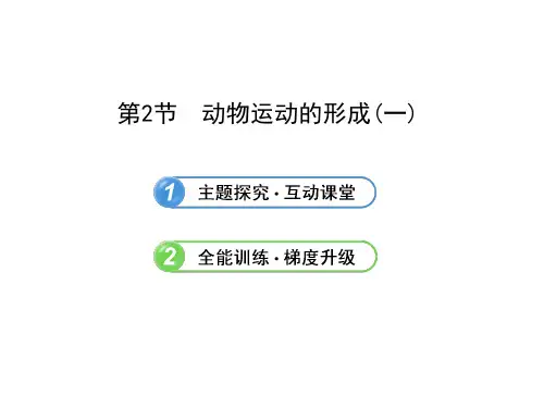 5.15.2动物运动的形成(一)(北师大版八年级上)