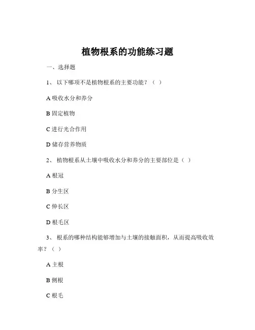 植物根系的功能练习题