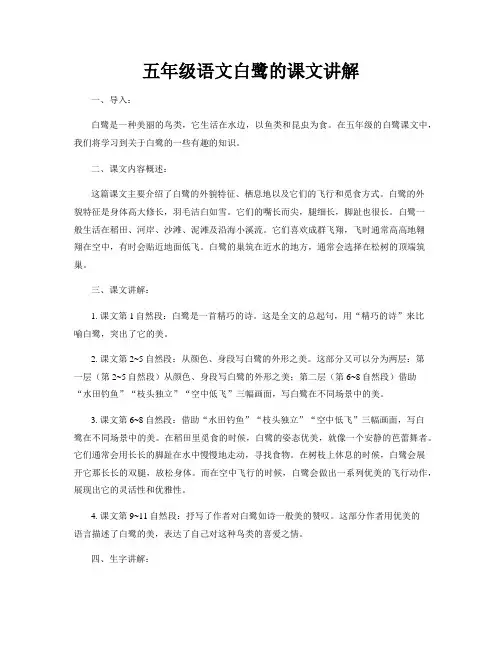 五年级语文白鹭的课文讲解