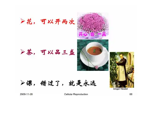 生物资源学第一章绪论