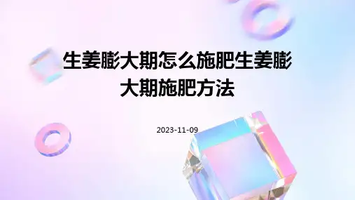 生姜膨大期怎么施肥生姜膨大期施肥方法
