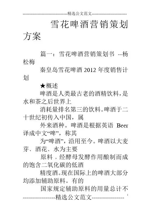 雪花啤酒营销策划方案