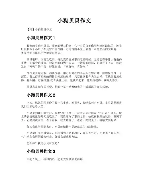 小狗贝贝作文
