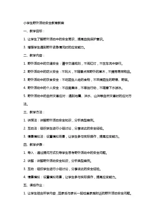 小学生野外活动安全教育教案