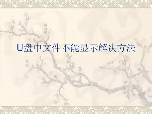 U盘中文件不能显示解决方法