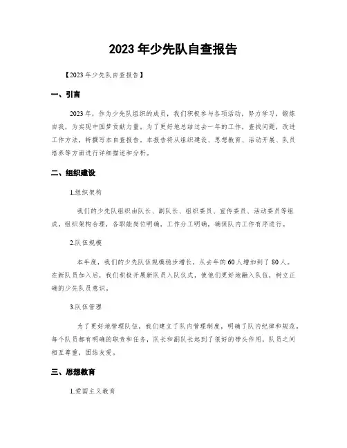 2023年少先队自查报告