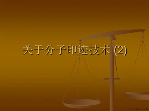 分子印迹技术 (2)