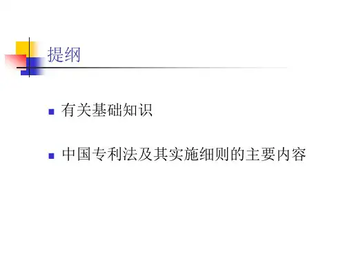 中国专利法及其实施细则