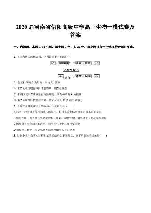 2020届河南省信阳高级中学高三生物一模试卷及答案