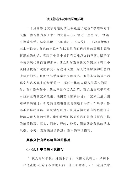 浅谈鲁迅小说中的环境描写