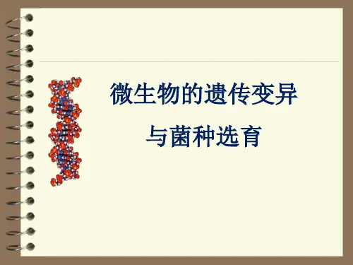 微生物的遗传变异与菌种选育