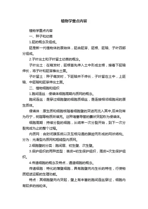 植物学重点内容