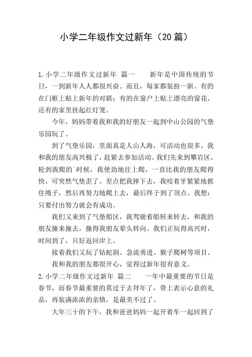 小学二年级作文过新年(20篇)