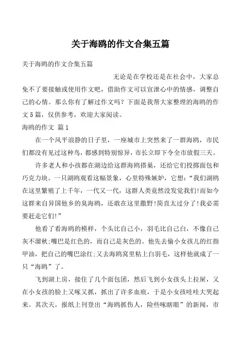 关于海鸥的作文合集五篇