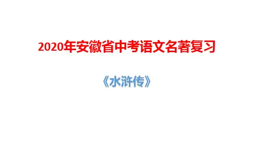 2020年安徽省中考语文名著复习：《水浒传》