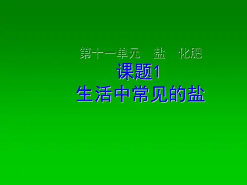 课题1 生活中常见的盐1.ppt