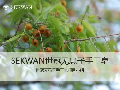 sekwan世冠无患子手工皂介绍  ppt课件