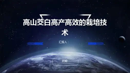高山茭白高产高效的栽培技术