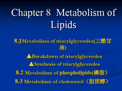 生物化学(王镜岩版)第八章脂代谢(中文)