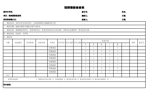 短期借款检查表