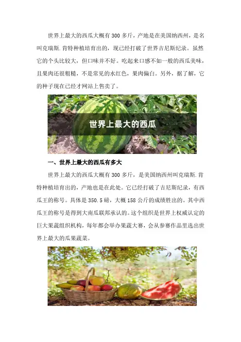 世界上最大的西瓜有多大,产地在哪里