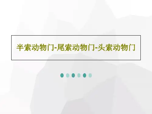 半索动物门-尾索动物门-头索动物门PPT文档共108页