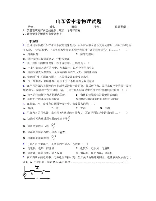 山东省中考物理试题附解析