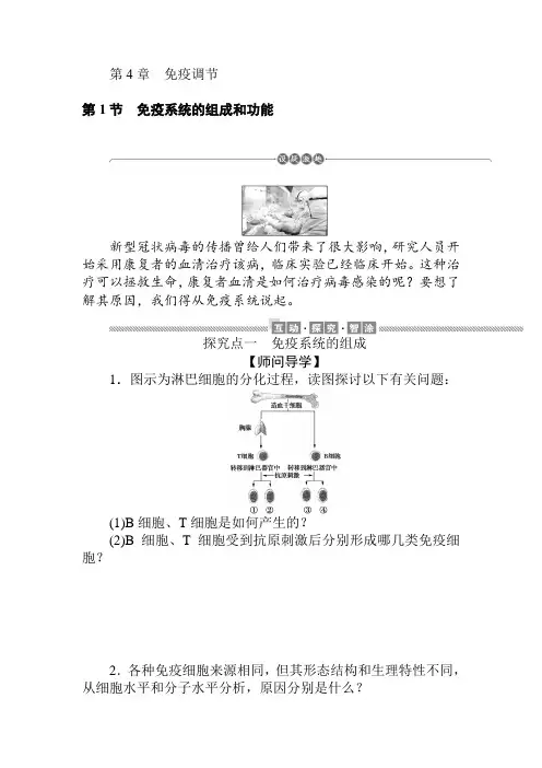 2020-2021学年高中生物新人教版选择必修1    4.1 免疫系统的组成和功能 探究学案