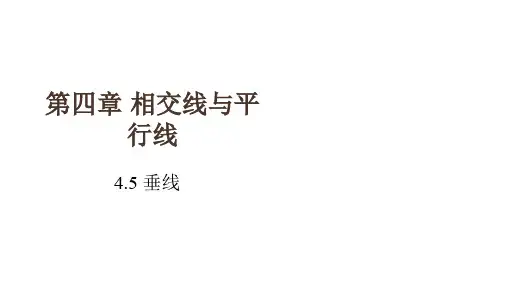 七年级数学下册 4.5 垂线同步课件 (新版)湘教版