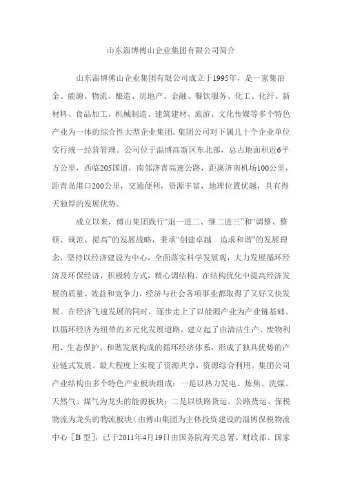 山东淄博傅山企业集团有限公司简介
