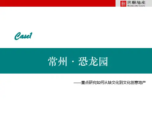 常州恐龙园案例分析