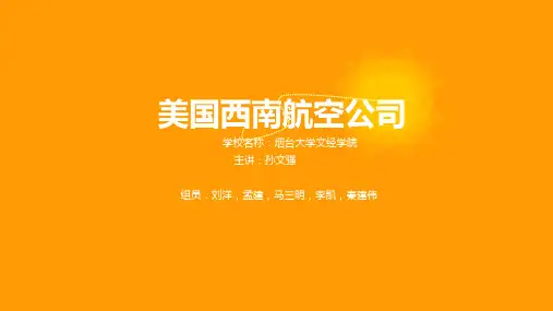 美国西南航空公司案例分析