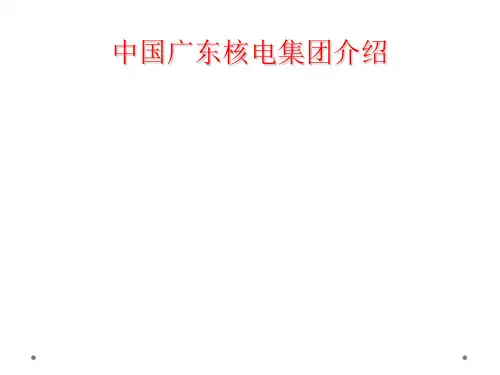 中国广东核电集团介绍