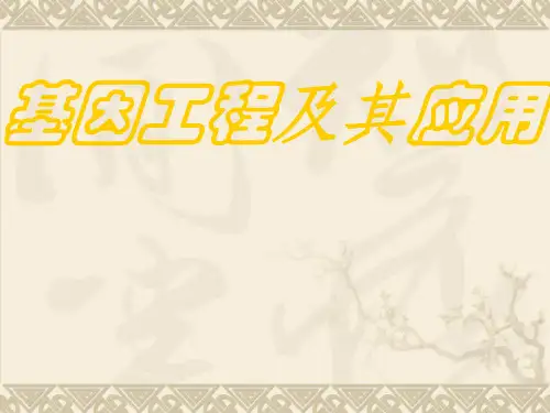 基因工程及其应用 课件(18张)