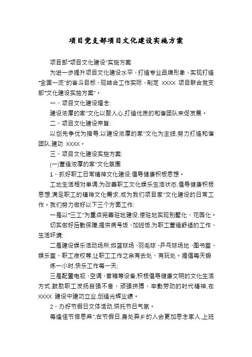 项目党支部项目文化建设实施方案