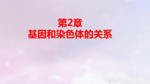 新教材高中生物第2章第1节减数分裂和受精作用第1课时精子的形成过程pptx课件新人教版必修2