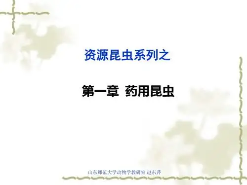 3-1-1药用昆虫之虫草(47页).