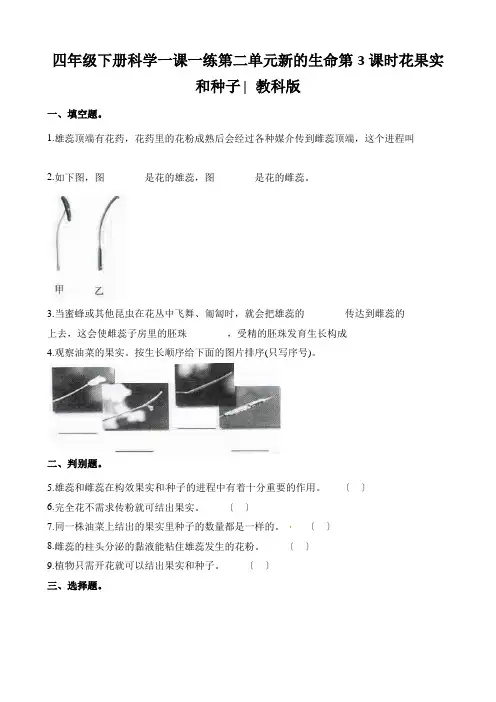 四年级下册科学一课一练第二单元新的生命第3课时花果实和种子∣教科版