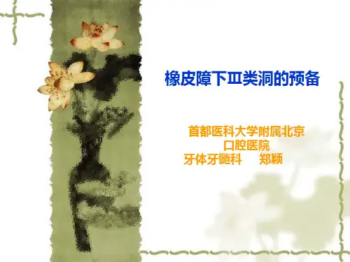 橡皮障下的三类洞预备课件