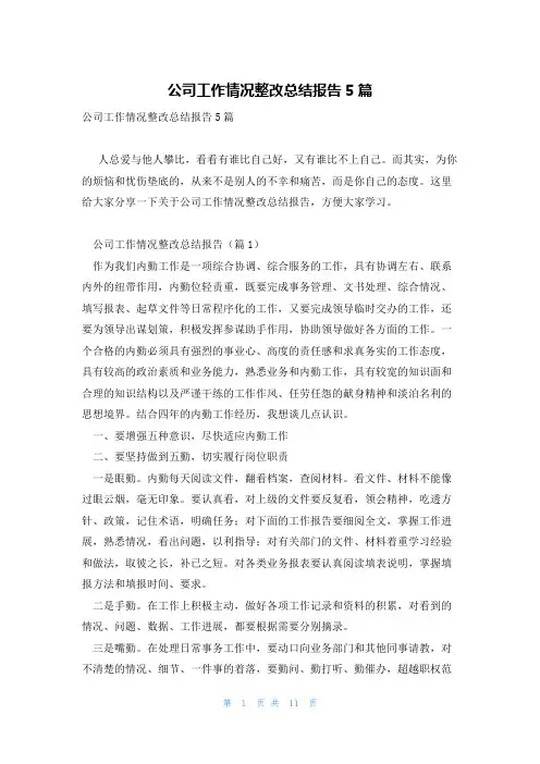 公司工作情况整改总结报告5篇