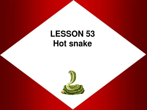 新概念英语第二册第53课 hot snack