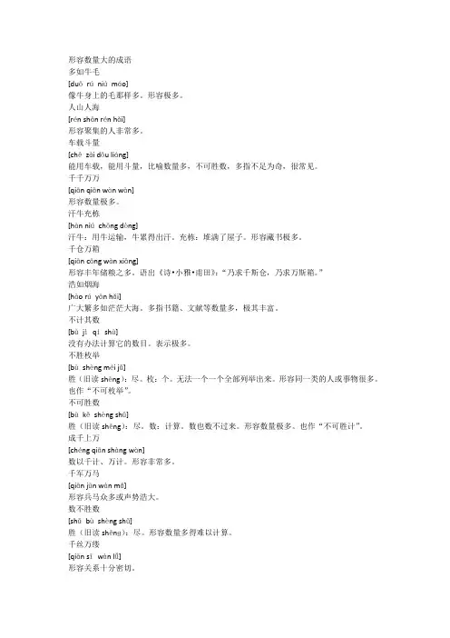 形容数量大的成语