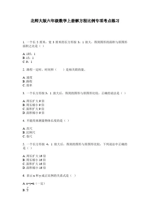 北师大版六年级数学上册解方程比例专项考点练习