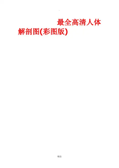 最全高清人体解剖图(彩图版)[1]