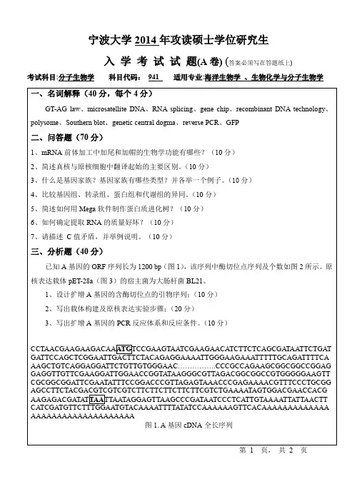 2014年宁波大学考研真题941分子生物学 A.pdf