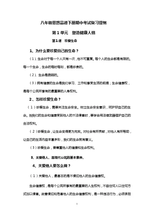 北师大版政治八年级下册知识点