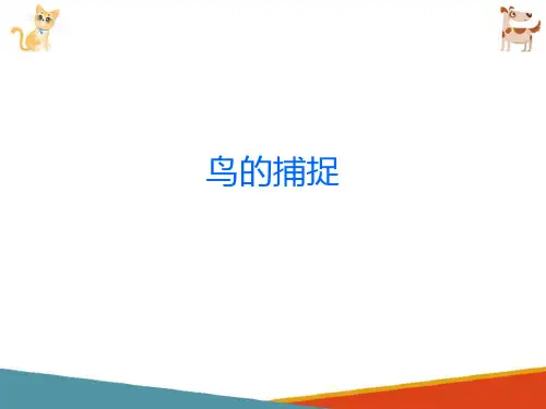 观赏鸟的饲养—观赏鸟的饲养管理