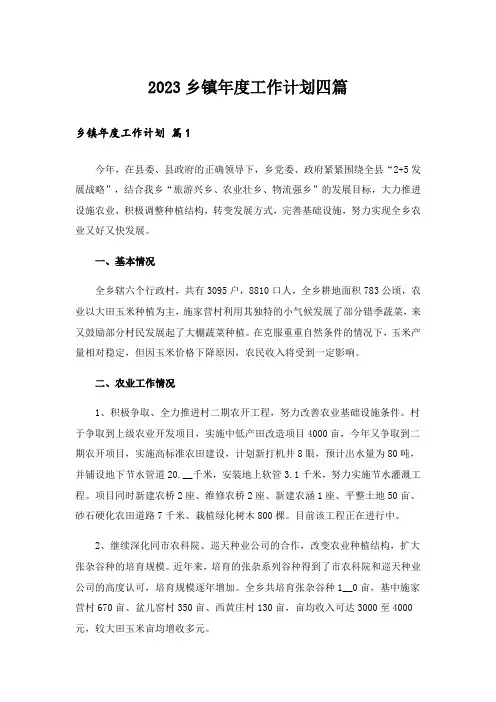 2023乡镇年度工作计划四篇
