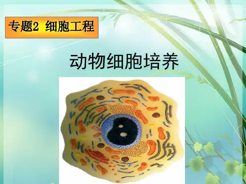 高中生物选修三 动物细胞培养 PPT课件 图文